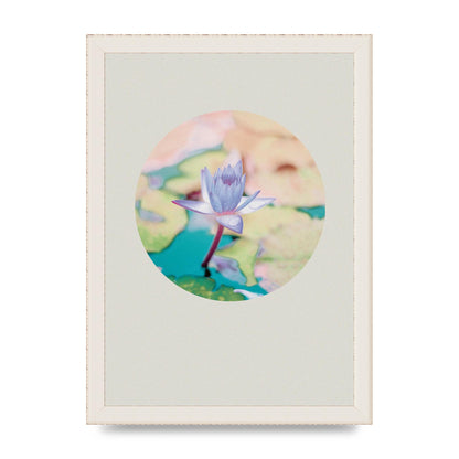 Pearl Colour Flower Disc Wall Art - A4 framed