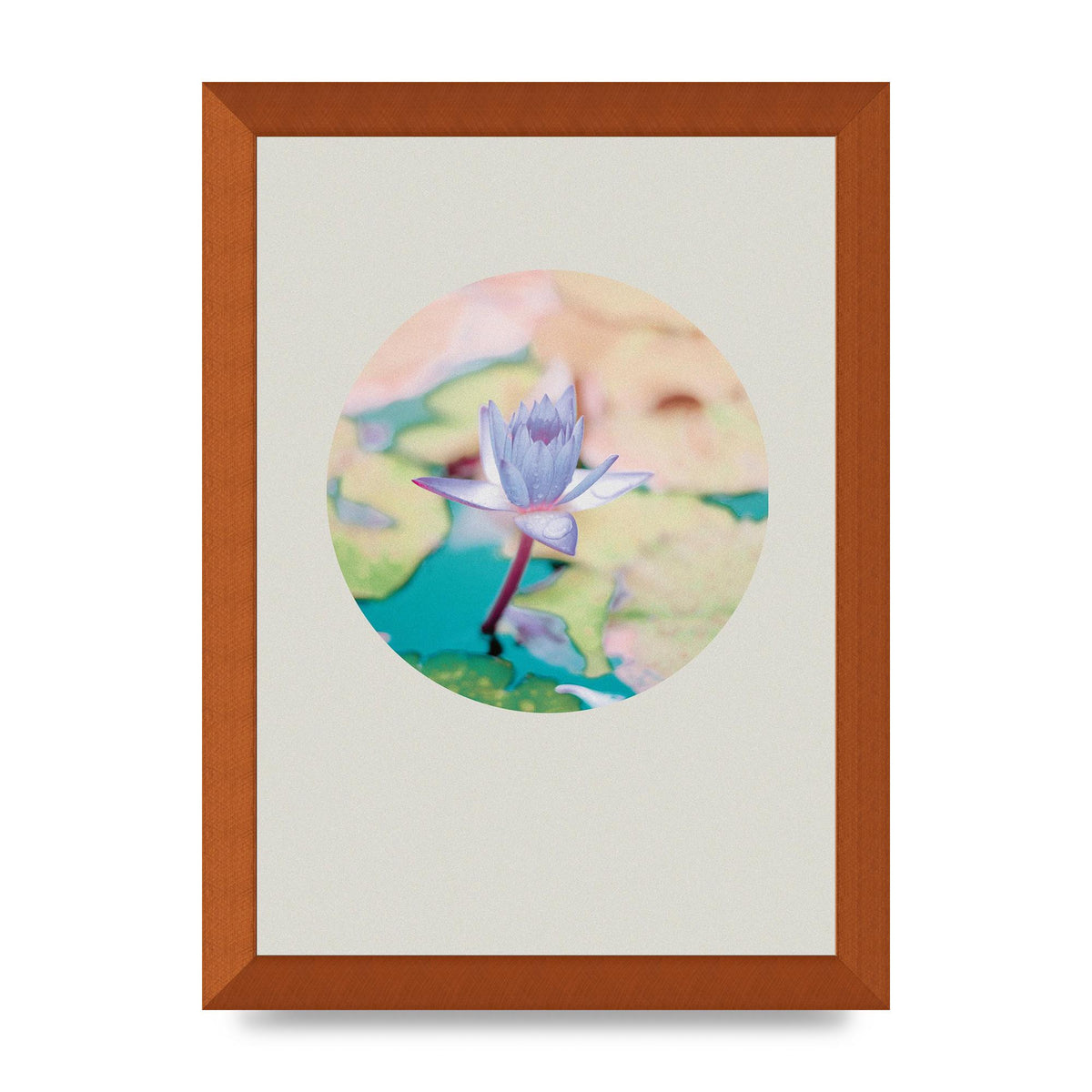 Pearl Colour Flower Disc Wall Art - A4 framed