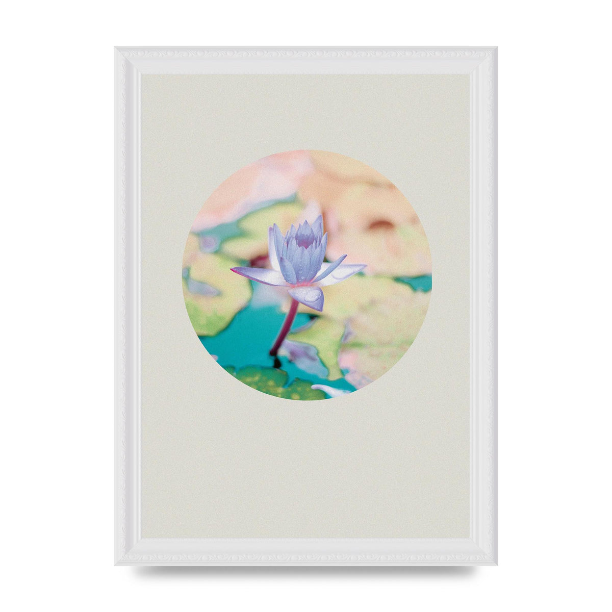 Pearl Colour Flower Disc Wall Art - A4 framed