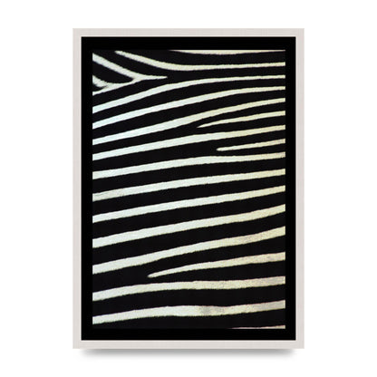 Zebra Art For The Home - A2 framed