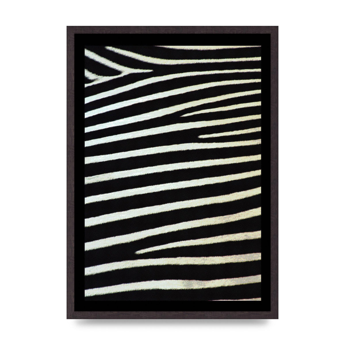 Zebra Art For The Home - A2 framed
