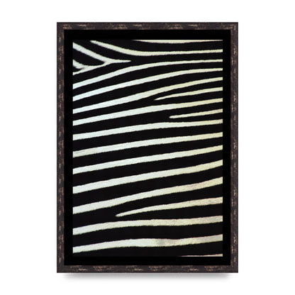 Zebra Art For The Home - A2 framed