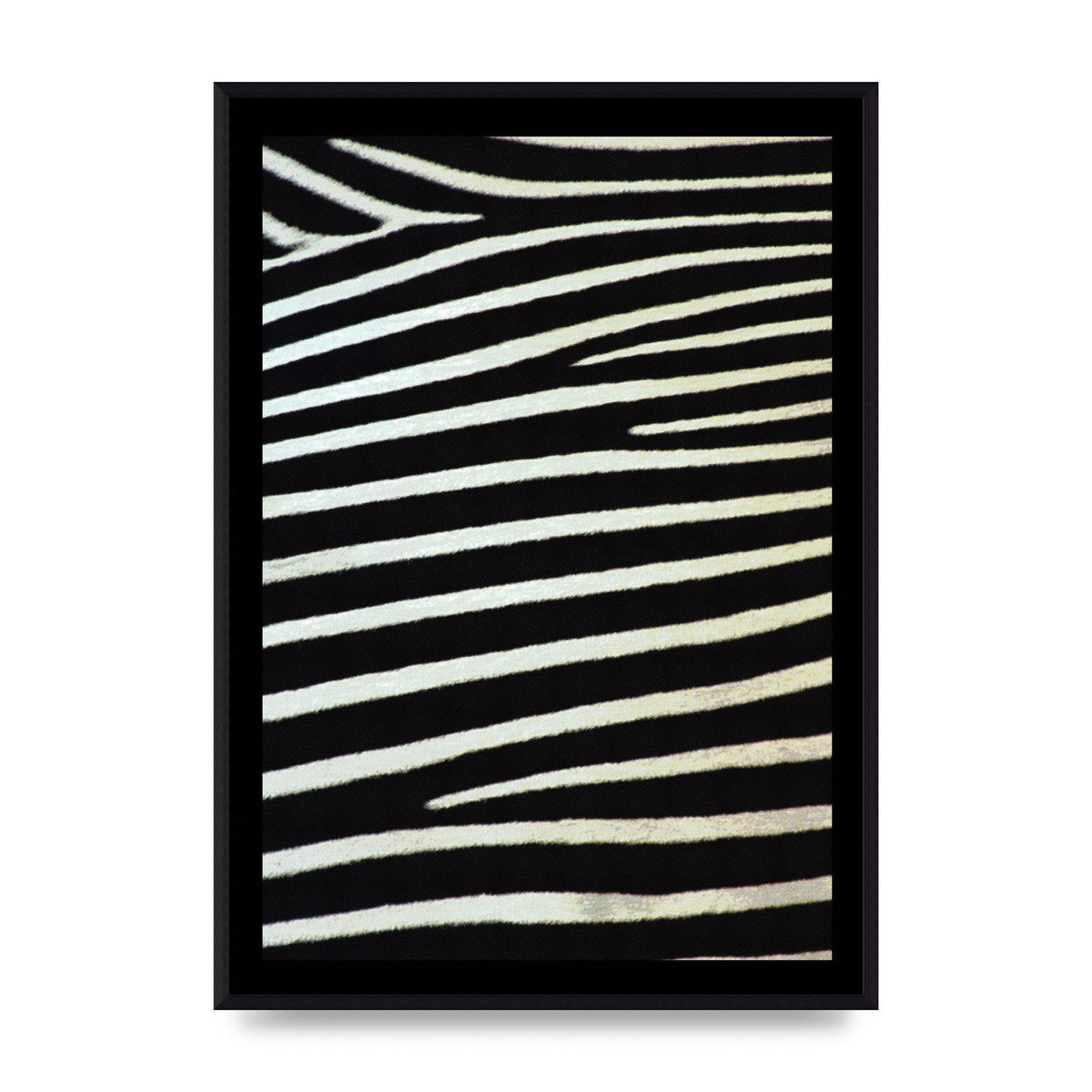 Zebra Art For The Home - A2 framed