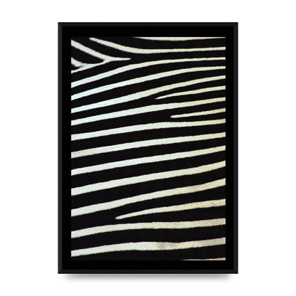 Zebra Art For The Home - A2 framed