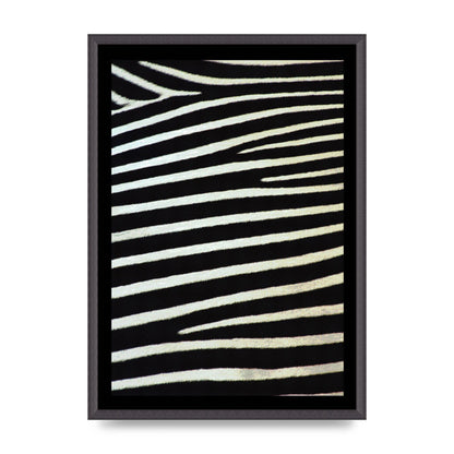 Zebra Art For The Home - A2 framed
