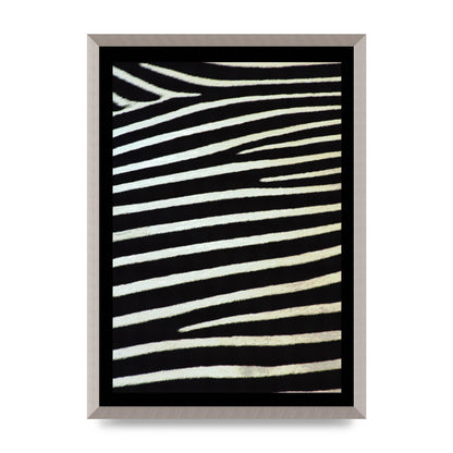 Zebra Art For The Home - A2 framed