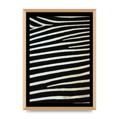 Zebra Art For The Home - A2 framed