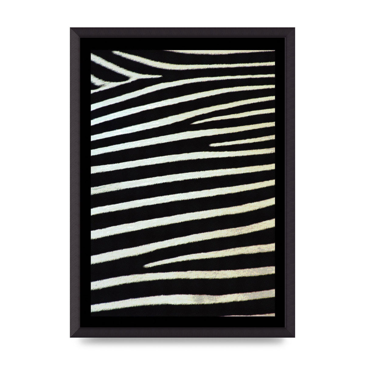 Zebra Art For The Home - A2 framed