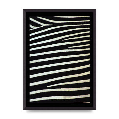 Zebra Art For The Home - A2 framed