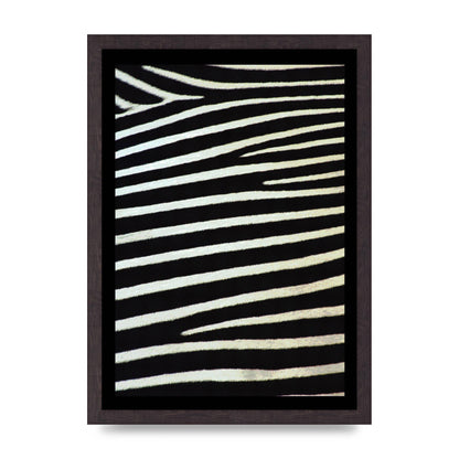 Zebra Art For The Home - A3 framed
