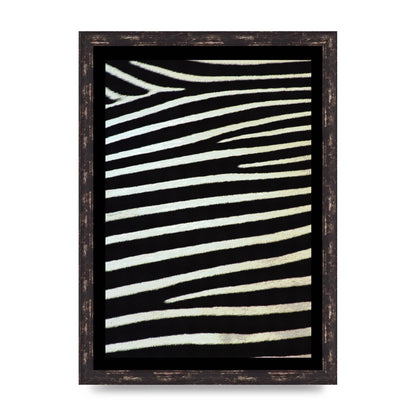 Zebra Art For The Home - A3 framed