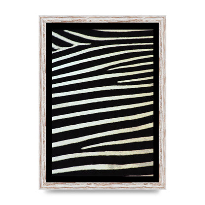 Zebra Art For The Home - A3 framed