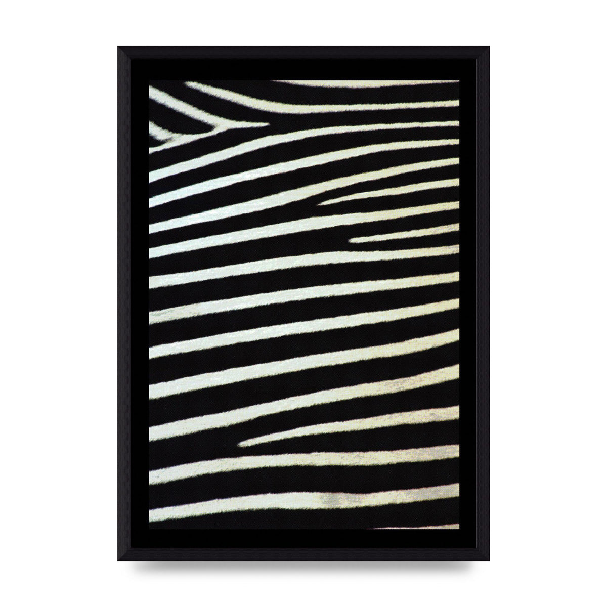 Zebra Art For The Home - A3 framed