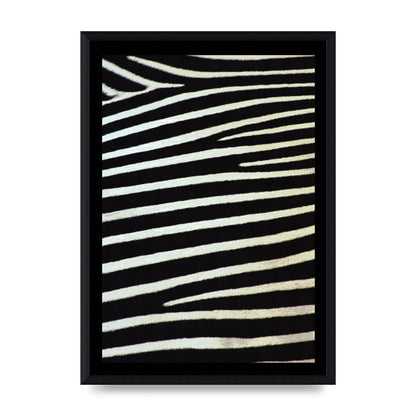 Zebra Art For The Home - A3 framed