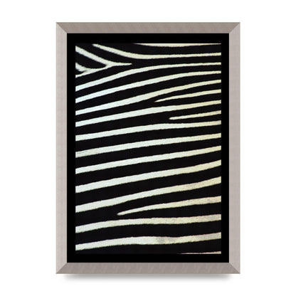 Zebra Art For The Home - A3 framed
