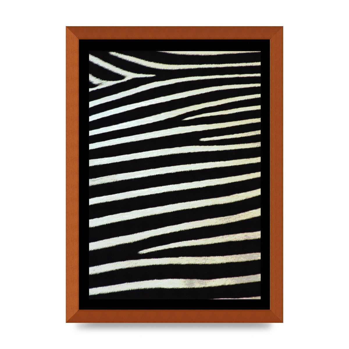 Zebra Art For The Home - A3 framed