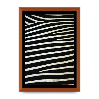 Zebra Art For The Home - A3 framed