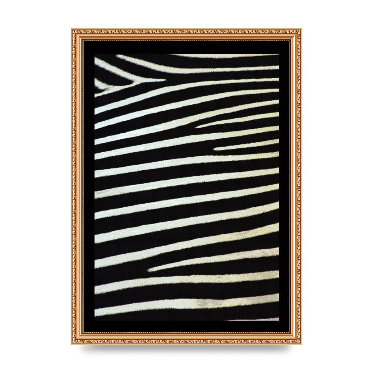Zebra Art For The Home - A3 framed