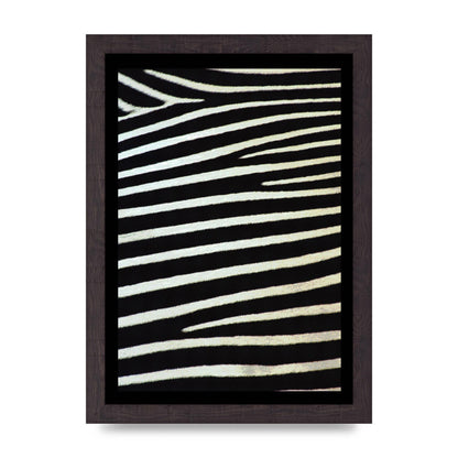 Zebra Art For The Home - A4 framed