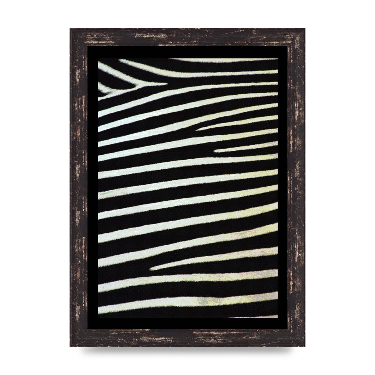 Zebra Art For The Home - A4 framed