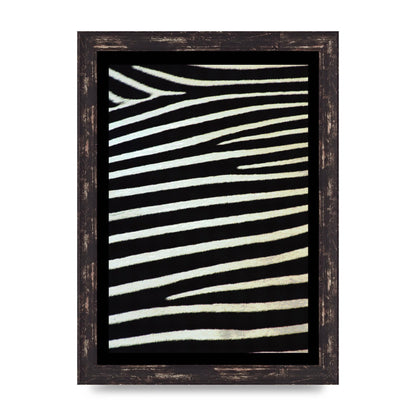 Zebra Art For The Home - A4 framed