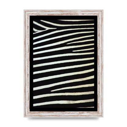 Zebra Art For The Home - A4 framed