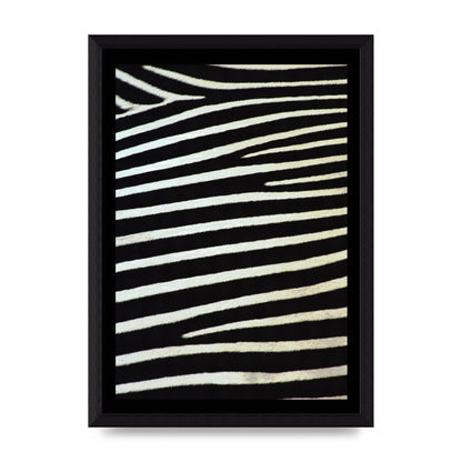 Zebra Art For The Home - A4 framed