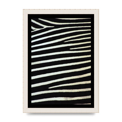 Zebra Art For The Home - A4 framed