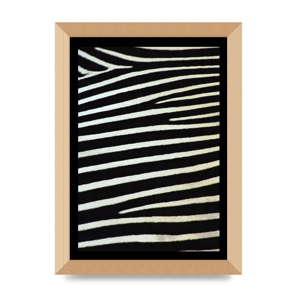 Zebra Art For The Home - A4 framed