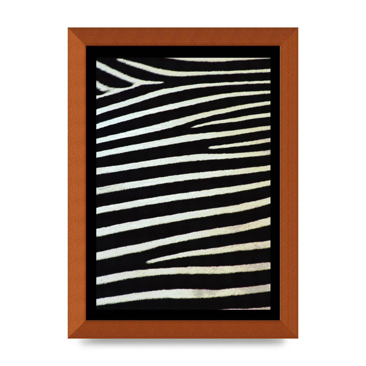 Zebra Art For The Home - A4 framed
