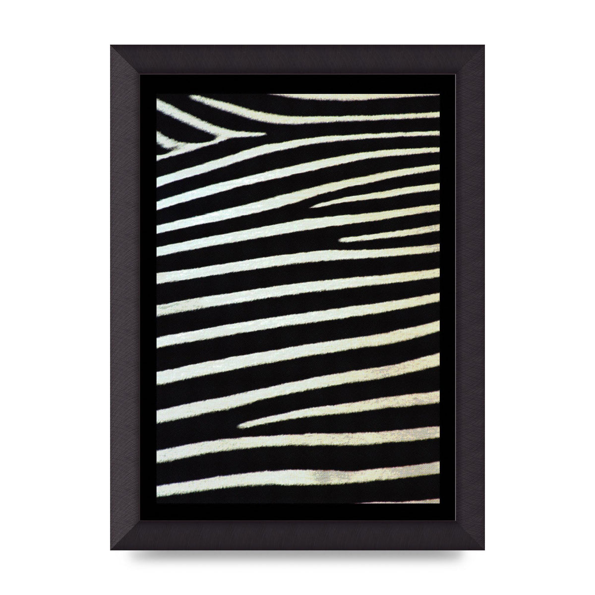 Zebra Art For The Home - A4 framed