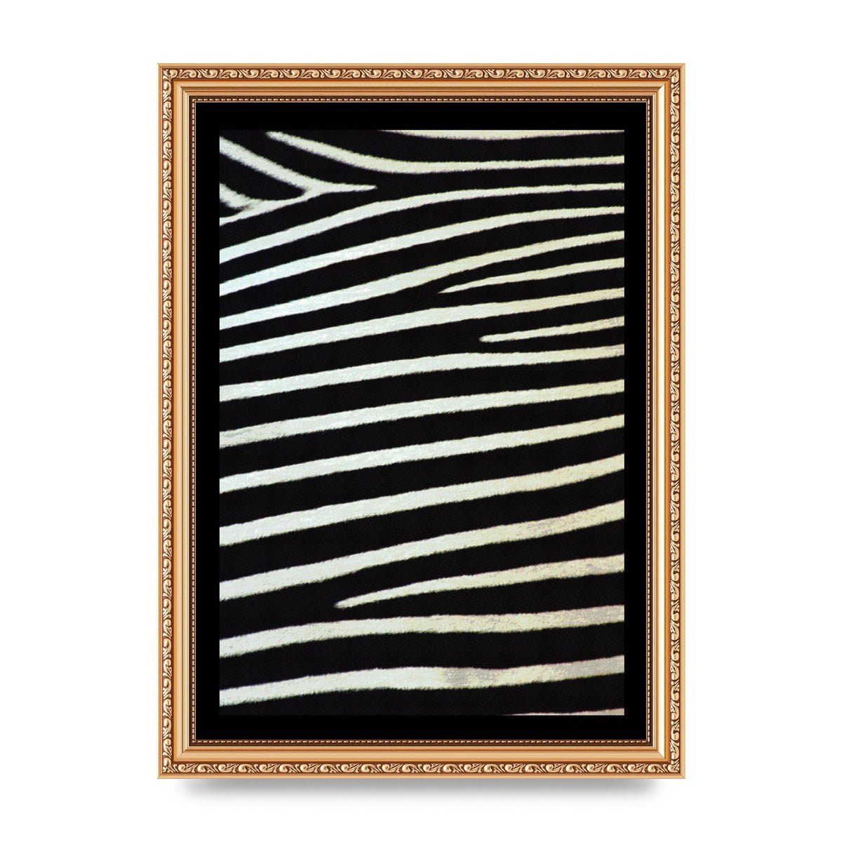 Zebra Art For The Home - A4 framed
