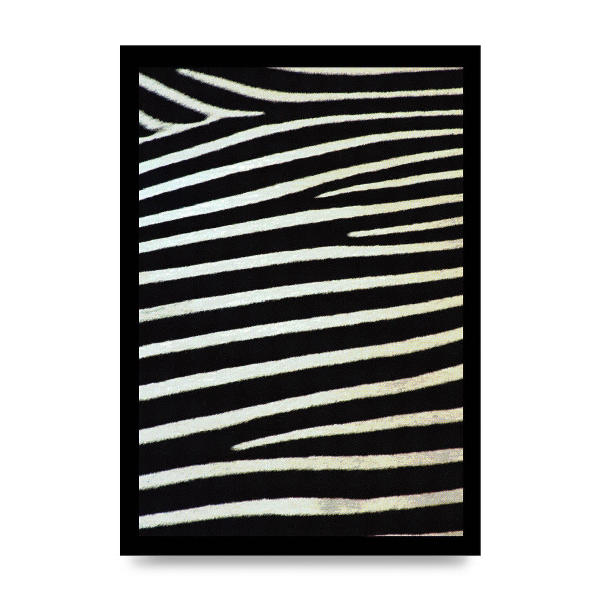 Zebra Art For The Home - unframed print