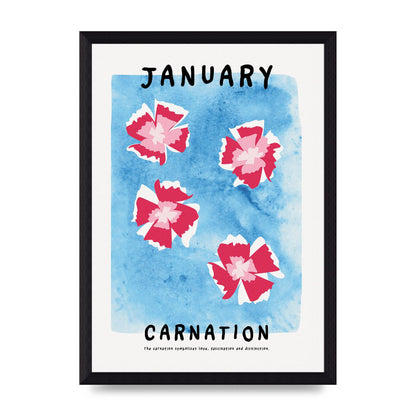 Birth Month Flower Series January Wall Art - A4 framed