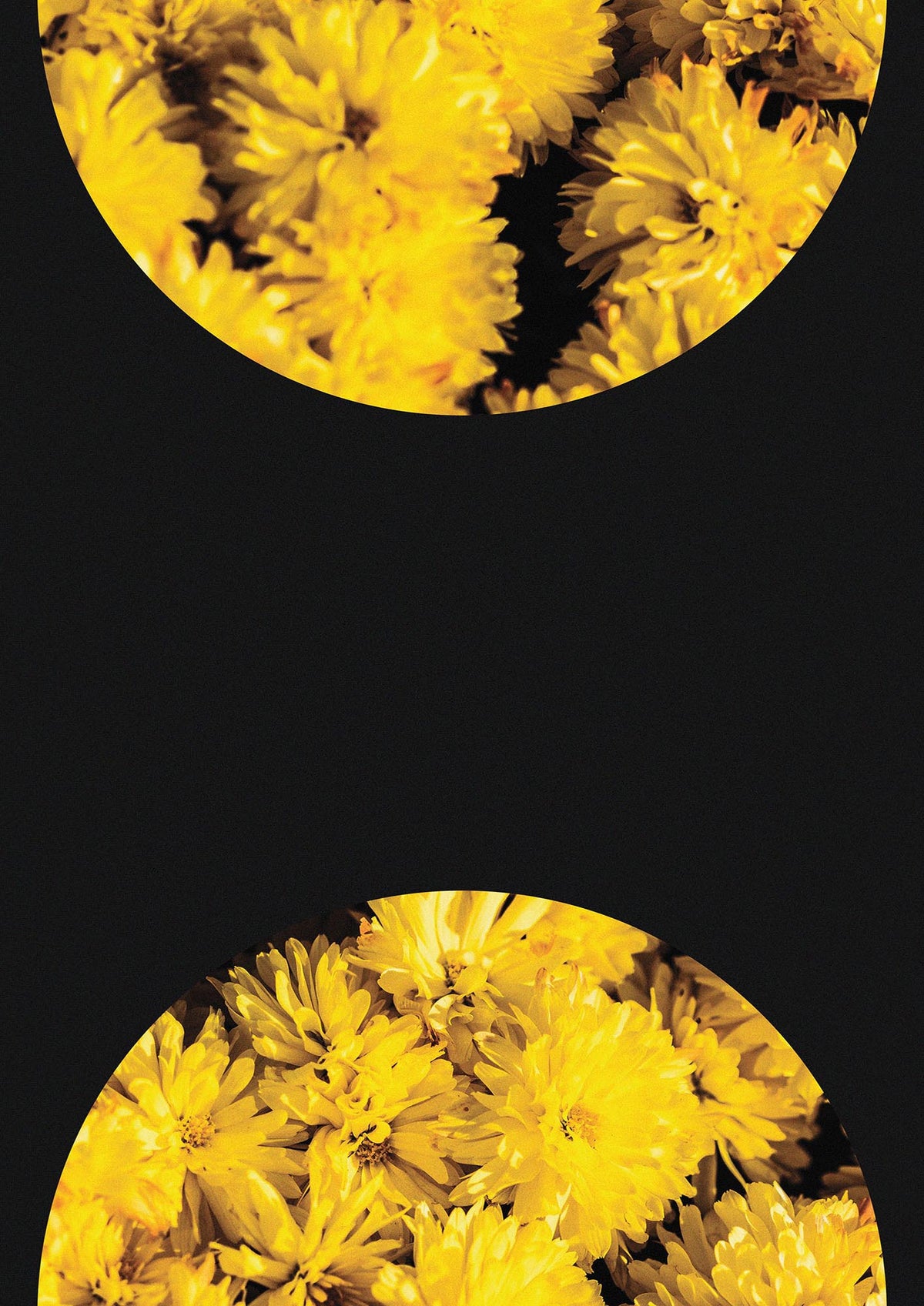 Yellow Double Disc One Art For The Home - detail
