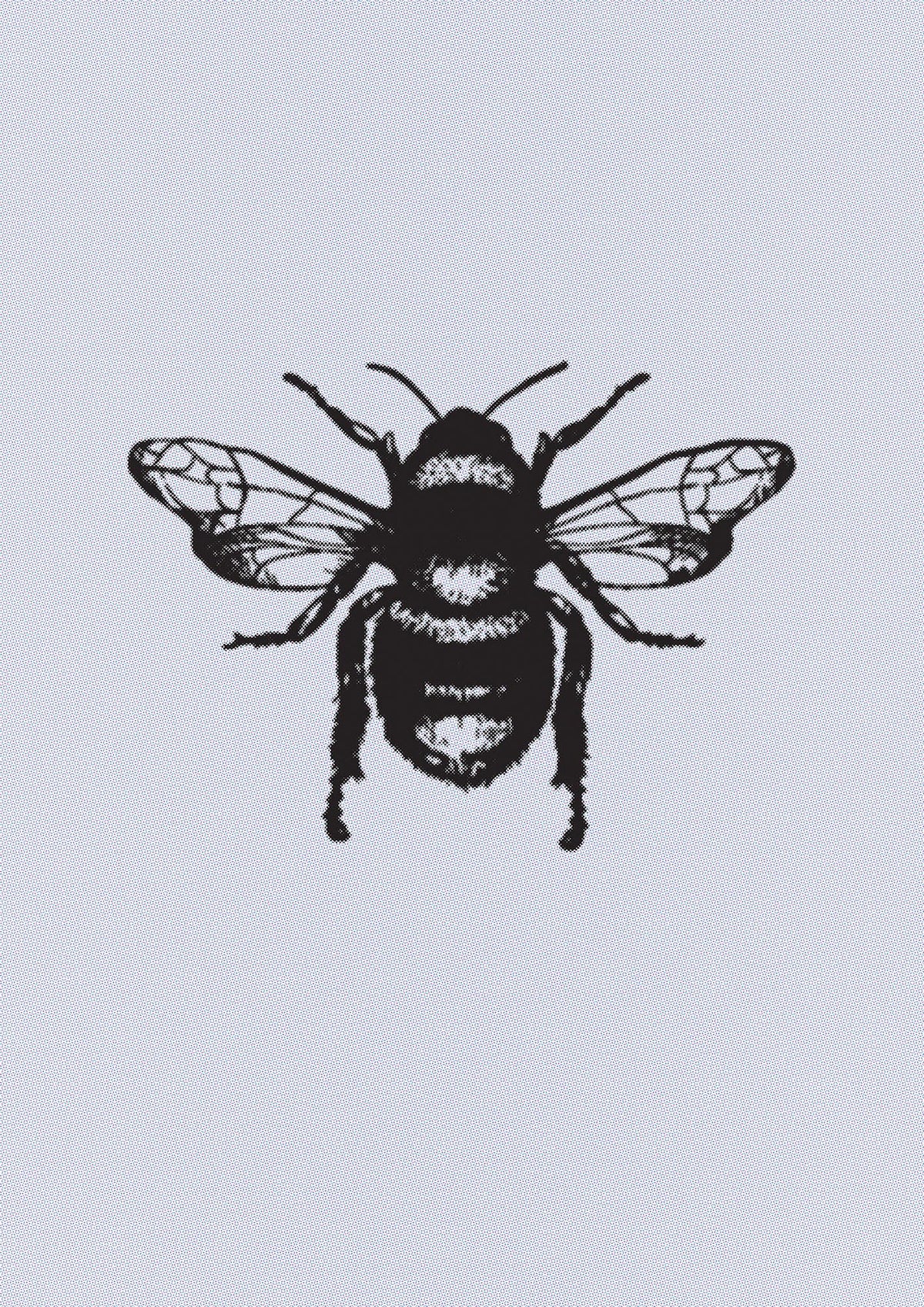 Bee Illustration Printed Poster - detail