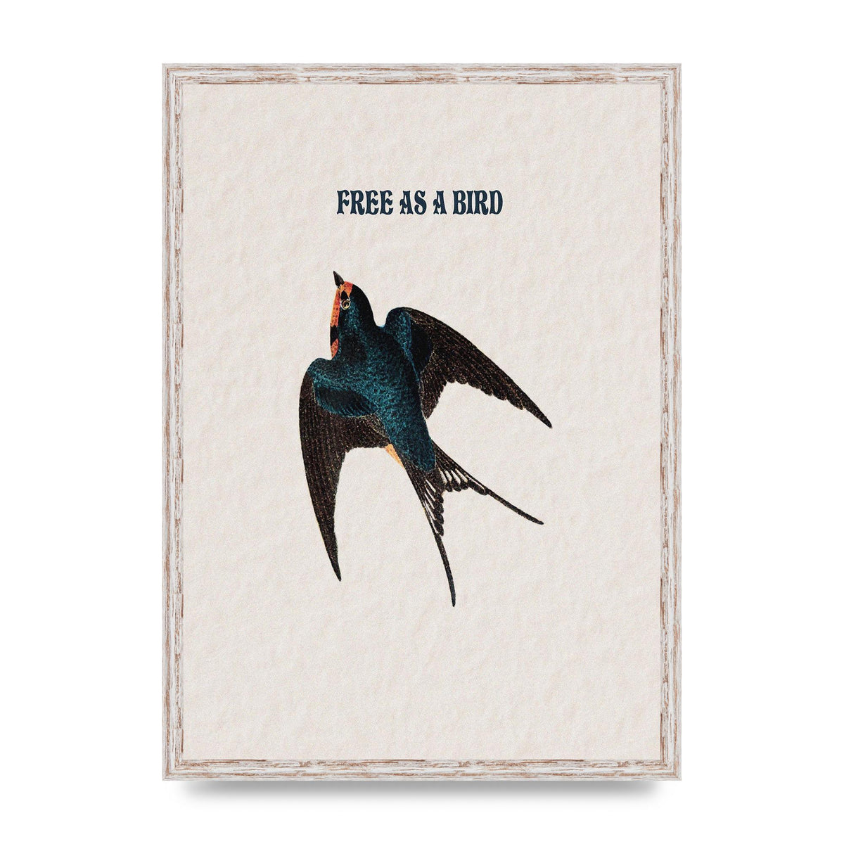 Free As A Bird Illustrative Wall Art - A2 framed