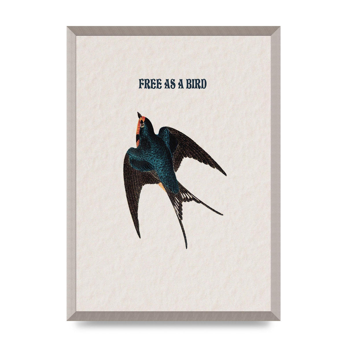 Free As A Bird Illustrative Wall Art - A2 framed