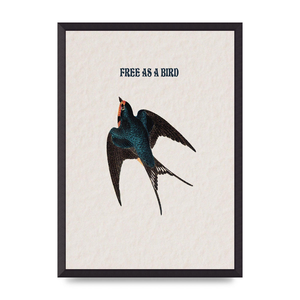 Free As A Bird Illustrative Wall Art - A2 framed