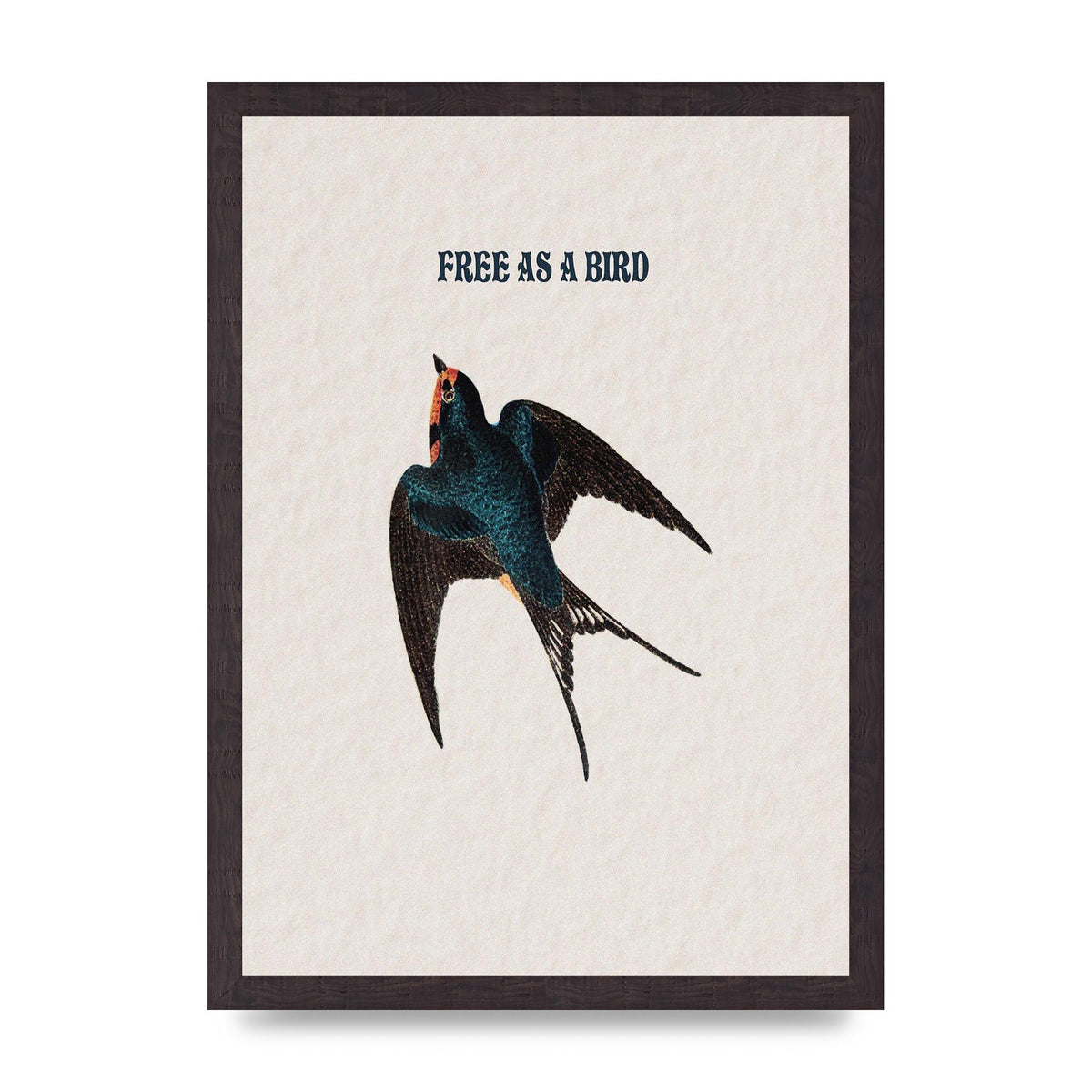 Free As A Bird Illustrative Wall Art - A3 framed