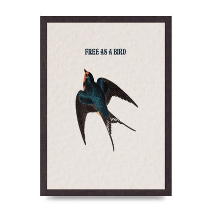 Free As A Bird Illustrative Wall Art - A3 framed