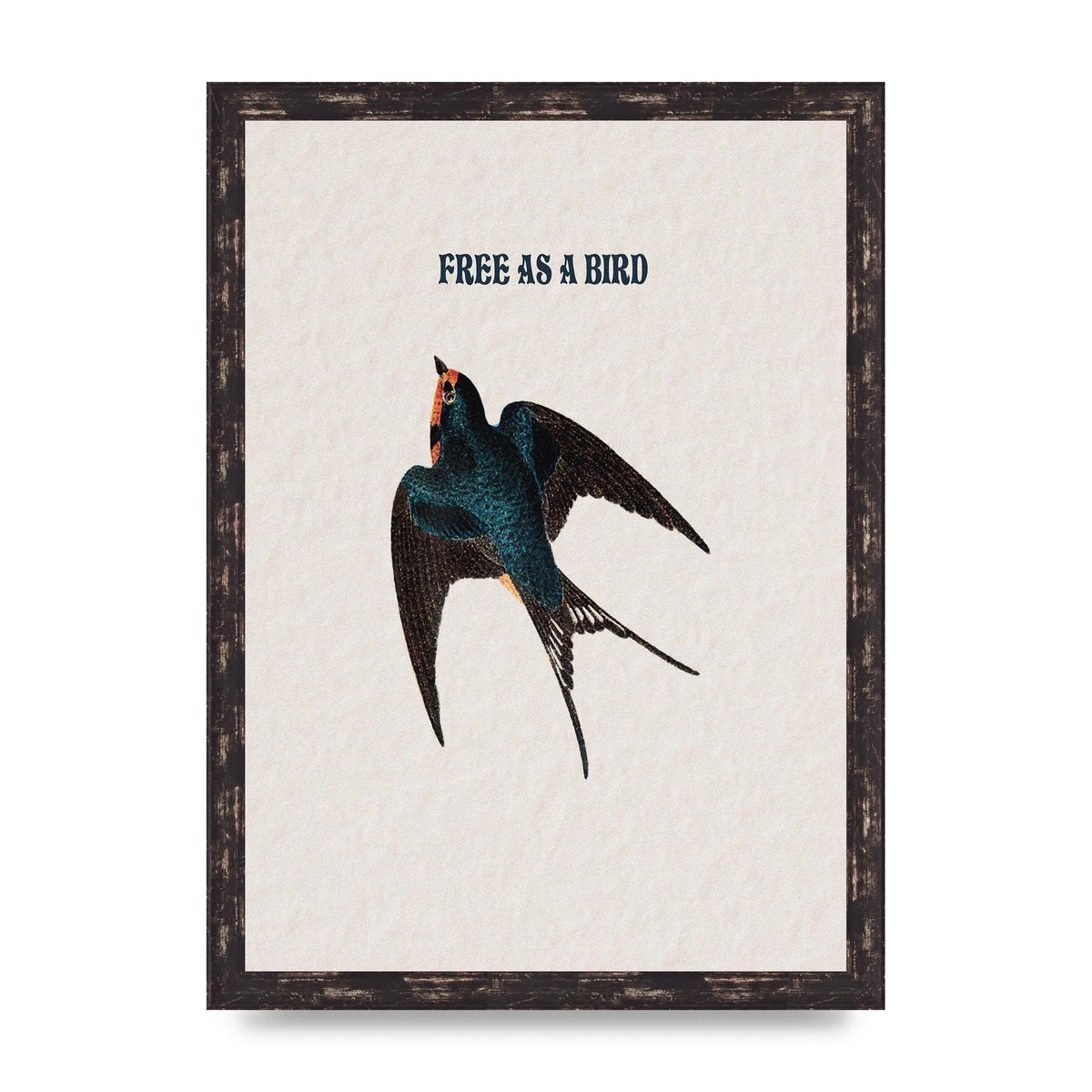 Free As A Bird Illustrative Wall Art - A3 framed