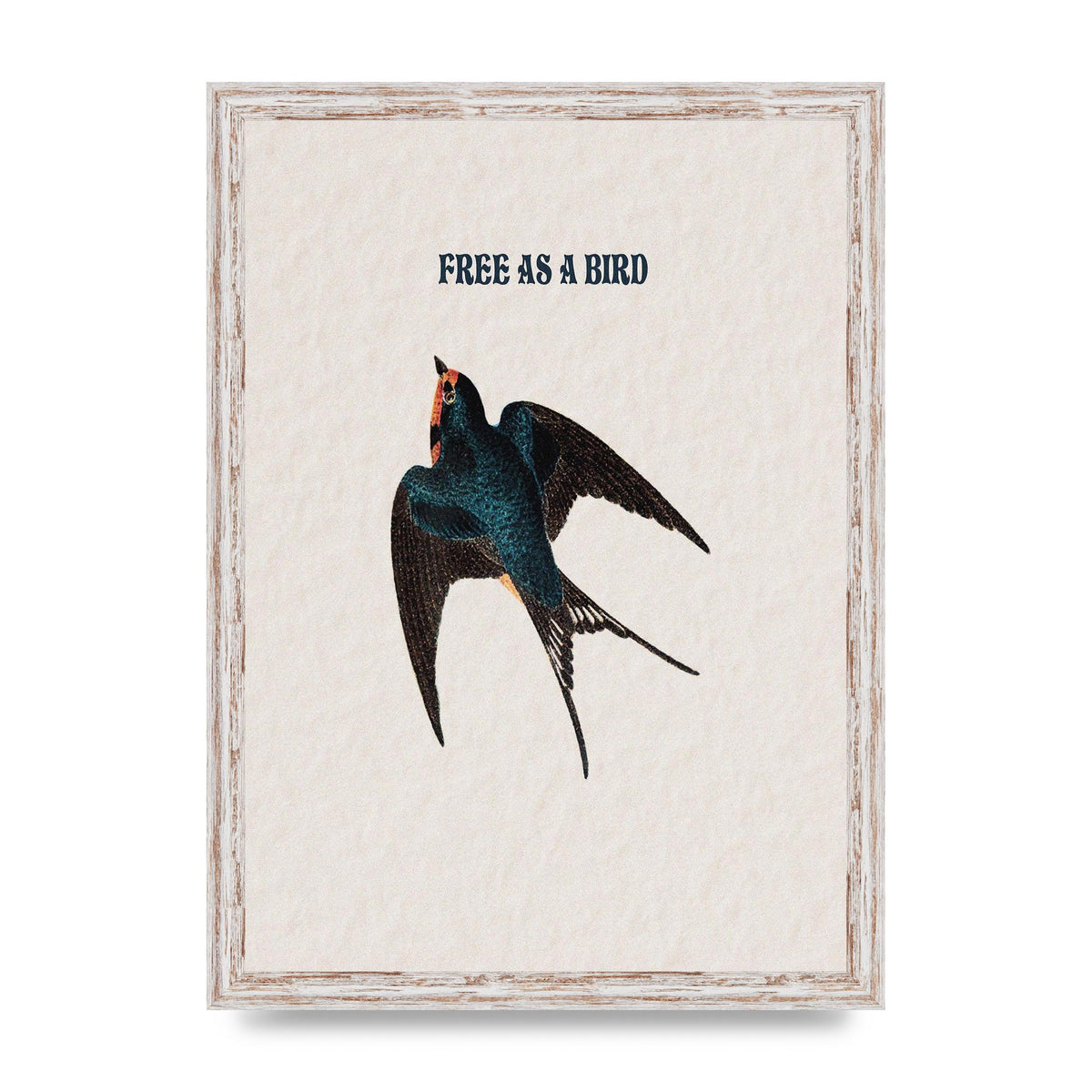 Free As A Bird Illustrative Wall Art - A3 framed