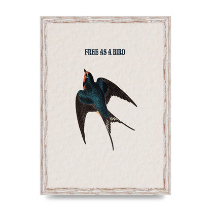 Free As A Bird Illustrative Wall Art - A3 framed