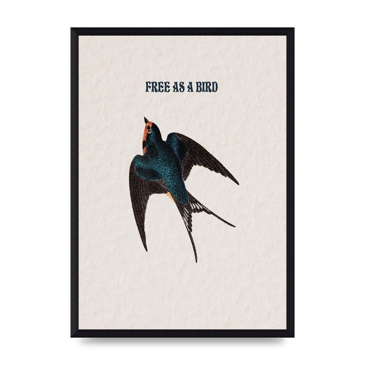 Free As A Bird Illustrative Wall Art - A3 framed