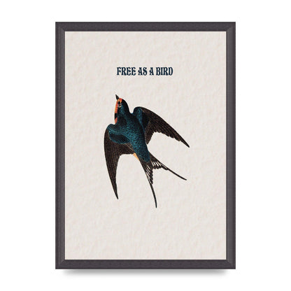 Free As A Bird Illustrative Wall Art - A3 framed