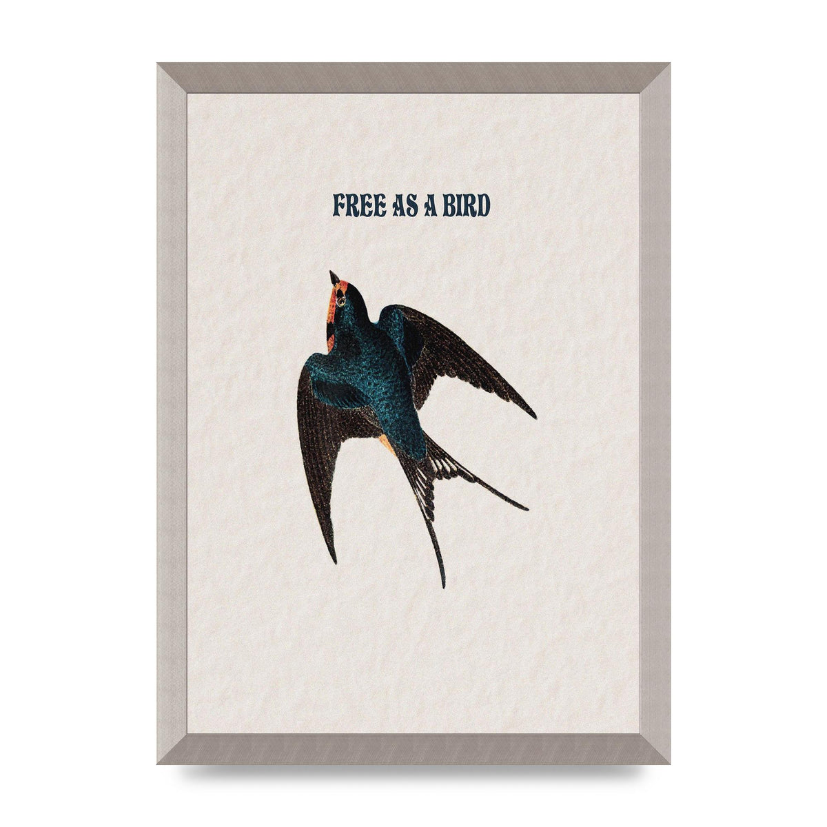 Free As A Bird Illustrative Wall Art - A3 framed