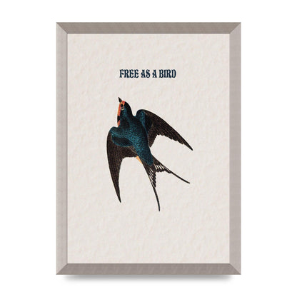 Free As A Bird Illustrative Wall Art - A3 framed
