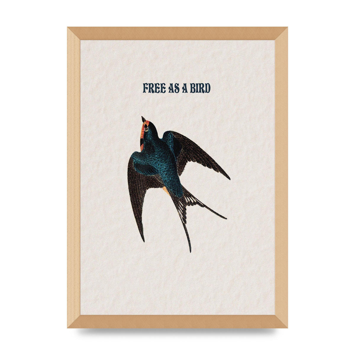 Free As A Bird Illustrative Wall Art - A3 framed