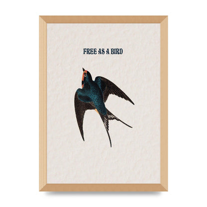 Free As A Bird Illustrative Wall Art - A3 framed